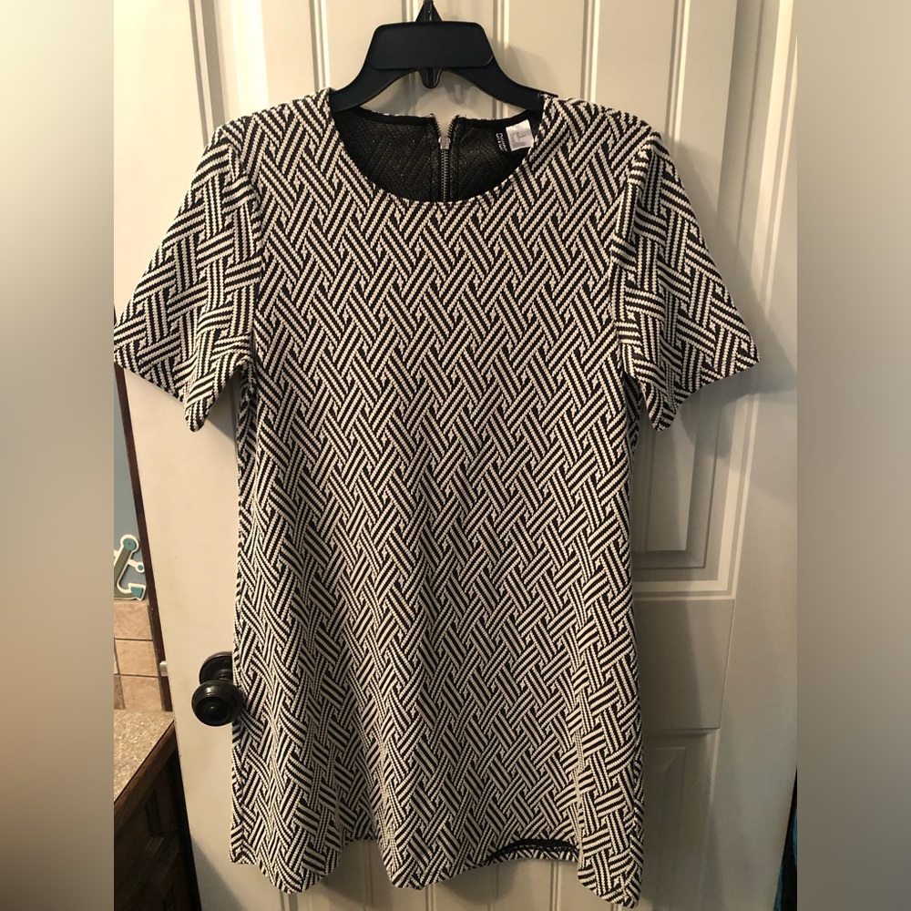 Divided Dress Size 12
